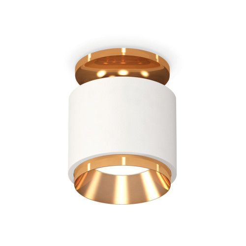 Потолочный светильник Ambrella Light Techno Spot XS7510120 (N7929, C7510, N7034)