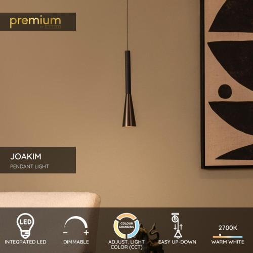 Подвесной светильник Lucide Joakim 24407/07/96