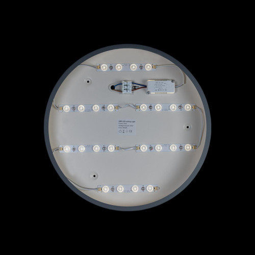 Потолочный светильник Loft IT AXEL 10003/24 Grey