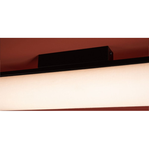 Потолочный светильник Freya Even FR5625CL-L20B