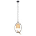 Подвесной светильник LOFT IT Birds Loft1029A-1