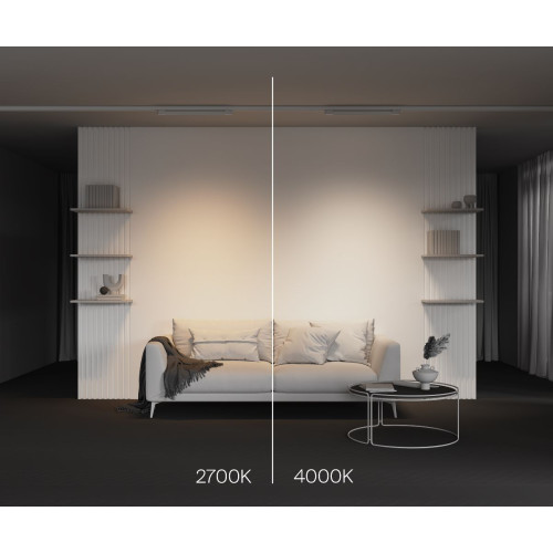 Трековый трехфазный светильник Maytoni Basis TR196-3-20W2.7K-W