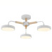 Подвесной светильник Escada Kaori 10270/3LED
