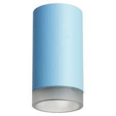 Накладной светильник Lightstar Rullo R43530 (214435+202430)