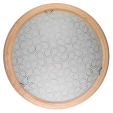 Настенно-потолочный светодиодный светильник Toplight Christina TL9520Y-00PN
