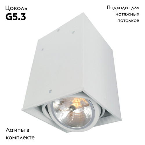 Потолочный светильник Arte Lamp Cardani A5936PL-1WH