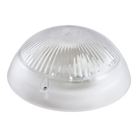 Настенно-потолочный светильник TDM Electric Сириус НПП 03-60-010.01 SQ0311-0009