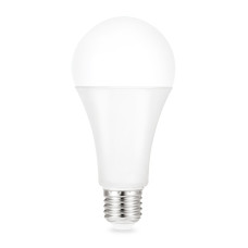 Лампа светодиодная Gauss E27 22W 6500K груша матовая 102502322