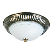 Накладной светильник Toplight Dora TL5040Y-02AB