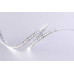 Светодиодная лента DesignLed DSG2168-24-NW-33 001819