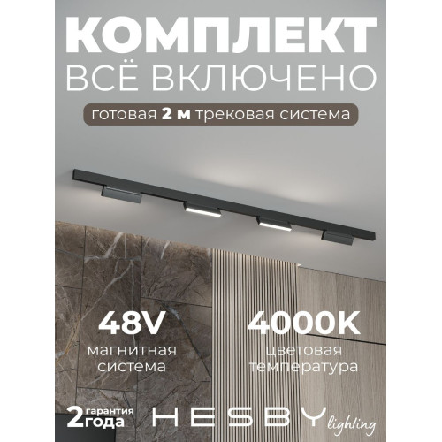Трековая система со светильниками №4 трехфазная накладная Eldeko (48В, форма - прямая, 2м, 4000K) черная Hesby Lighting HSBL_kompl_E004_NI2B4K