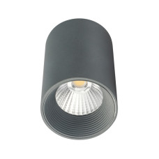 Потолочный светильник 20003 20003SMU/01LED SGY