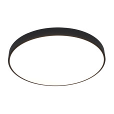 Потолочный светодиодный светильник Arte Lamp Arena A2673PL-1BK