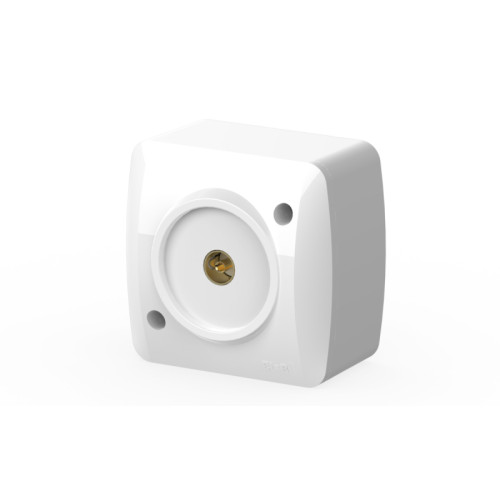 Розетка TV (концевая) ELBI Alsu 504-000200-246