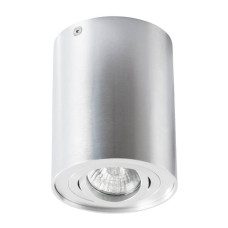 Потолочный светильник Arte Lamp A5644PL-1SI